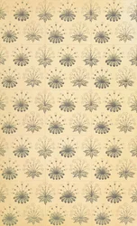 Arts and Crafts design